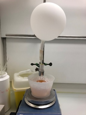 Eine Reaktion bei 0 °C unter Argon-Atmosphäre.